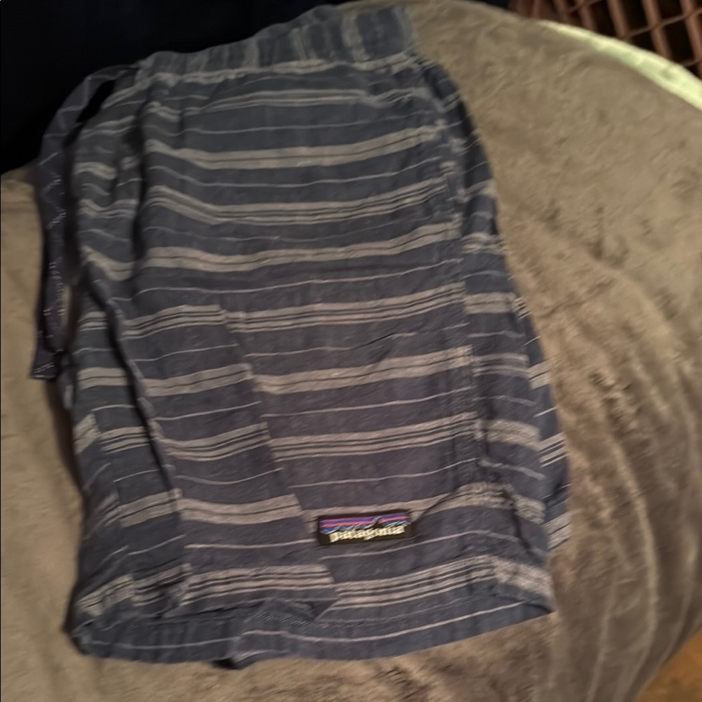 Patagonia Men's Navy Striped Athletic Shorts